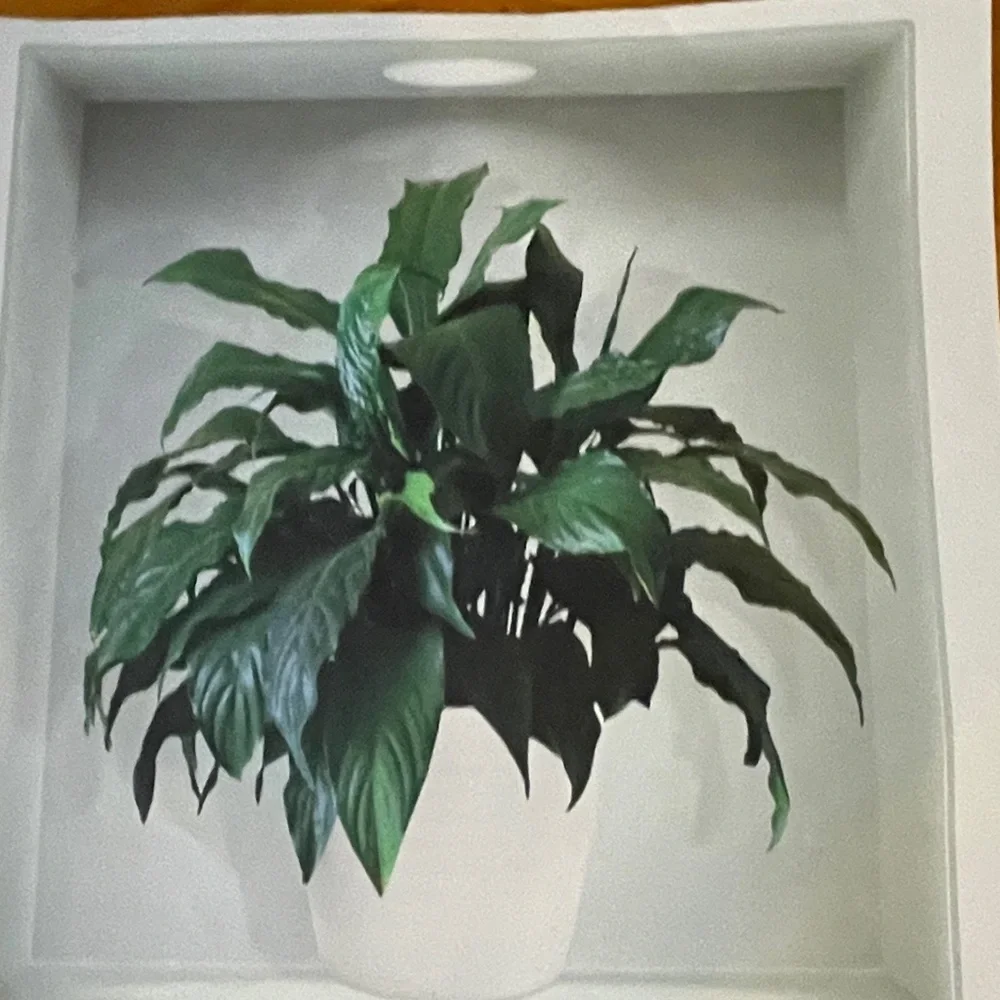 3D wall stickers 12”x12” Plants and flowers in a vase 6 stickers NEW